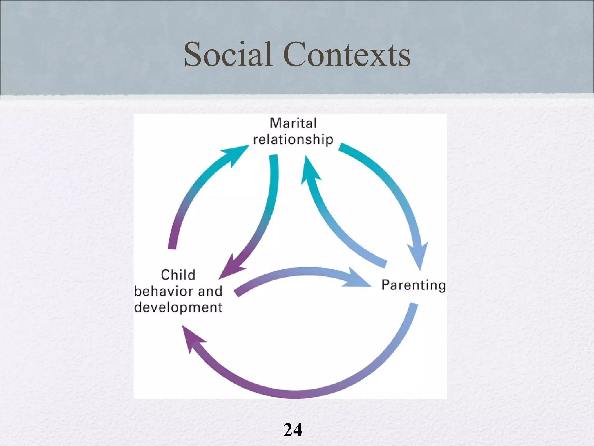 Social Contexts




      24
 