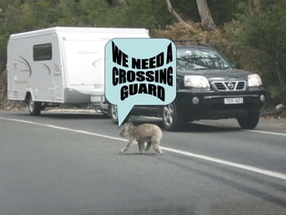 WE NEED A CROSSING  GUARD 