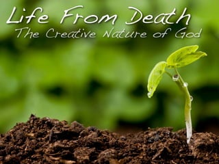 Life From Death
The Creative Nature of God
 