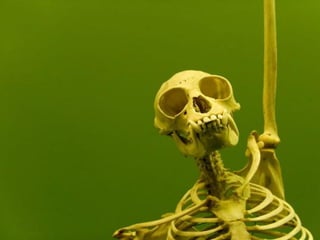 Life After Death by PowerPoint