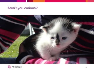 Aren’t you curious?
19
 