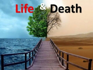 Life & Death
 