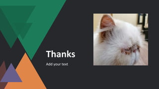 Thanks
Add your text
 