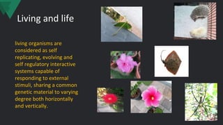 Living and life
living organisms are
considered as self
replicating, evolving and
self regulatory interactive
systems capable of
responding to external
stimuli, sharing a common
genetic material to varying
degree both horizontally
and vertically.
 