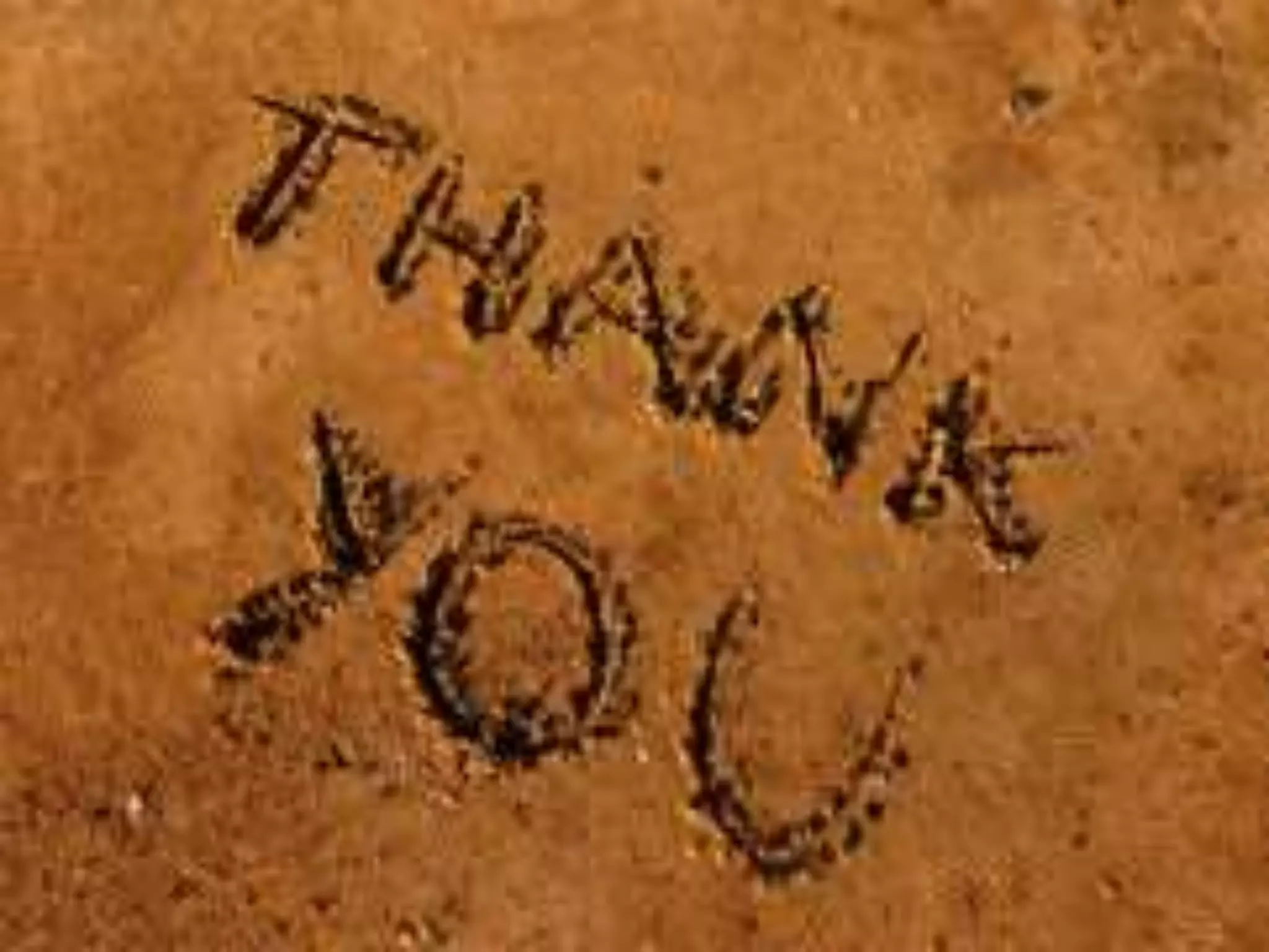 Life and learning presentation