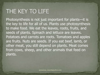 Photosynthesis is not just important for plants—it is the key to life for all of us. Plants use photosynthesis to make food. We eat the leaves, roots, fruits, and seeds of plants. Spinach and lettuce are leaves. Potatoes and carrots are roots. Tomatoes and apples are fruits. Nuts are seeds. If you eat beef, lamb, or other meat, you still depend on plants. Meat comes from cows, sheep, and other animals that feed on plants.THE KEY TO LIFEayessamae_macale@yahoo.com