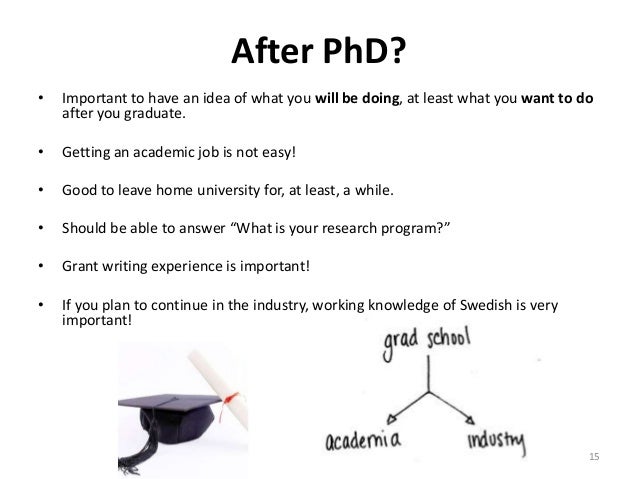 what should i do after phd
