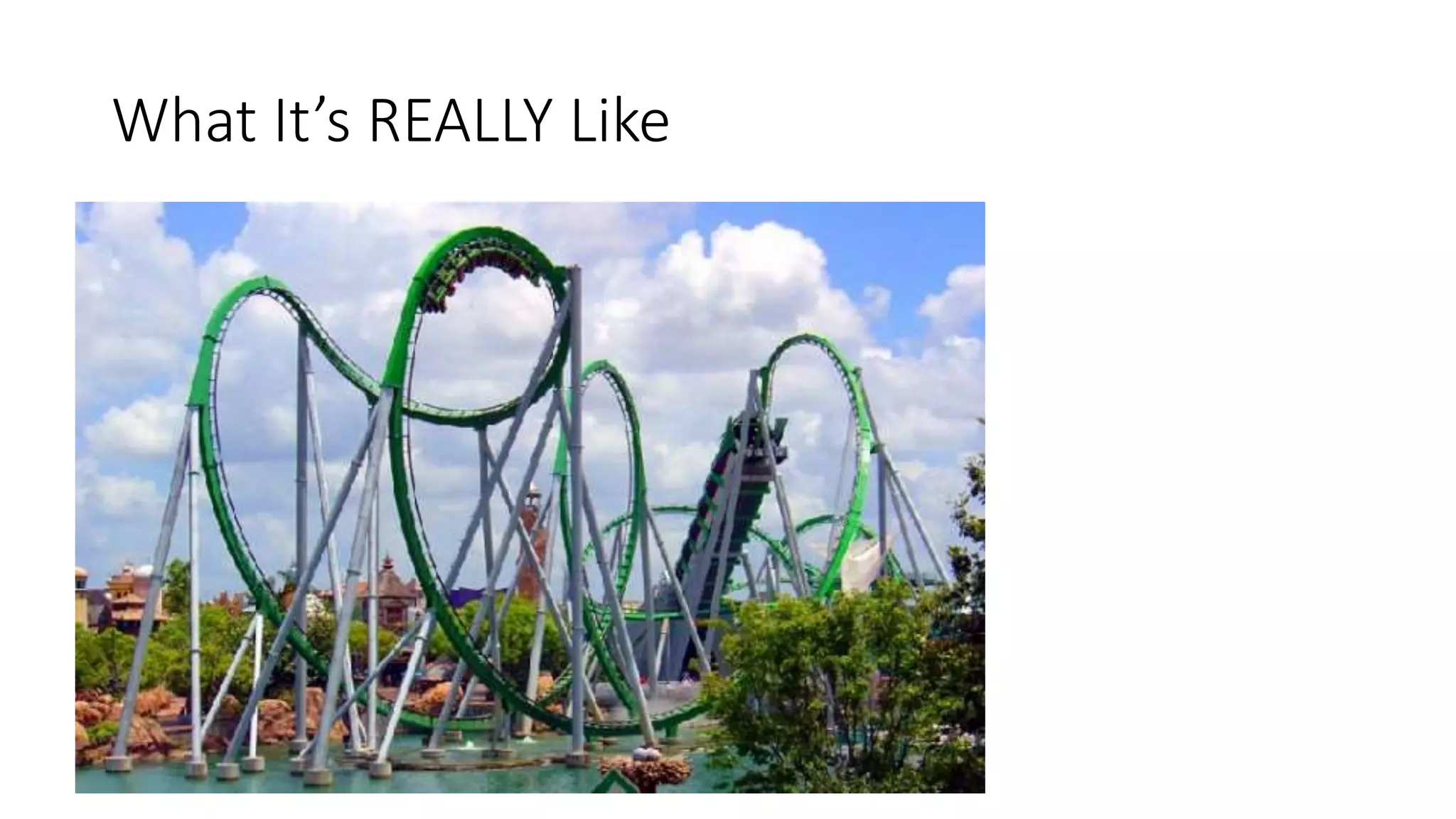 What It’s REALLY Like
 