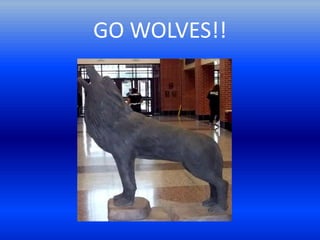 GO WOLVES!!
 