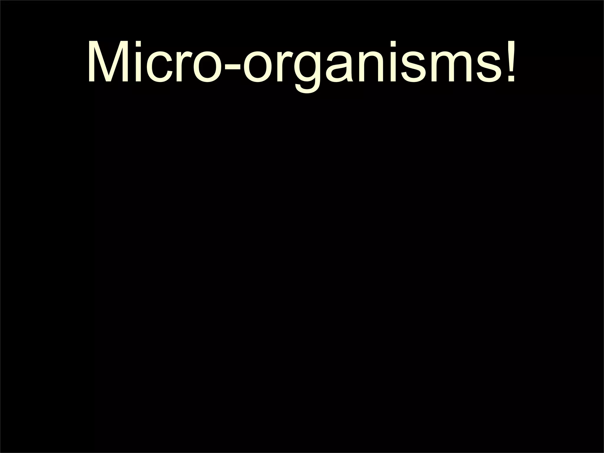 Micro-organisms!
 