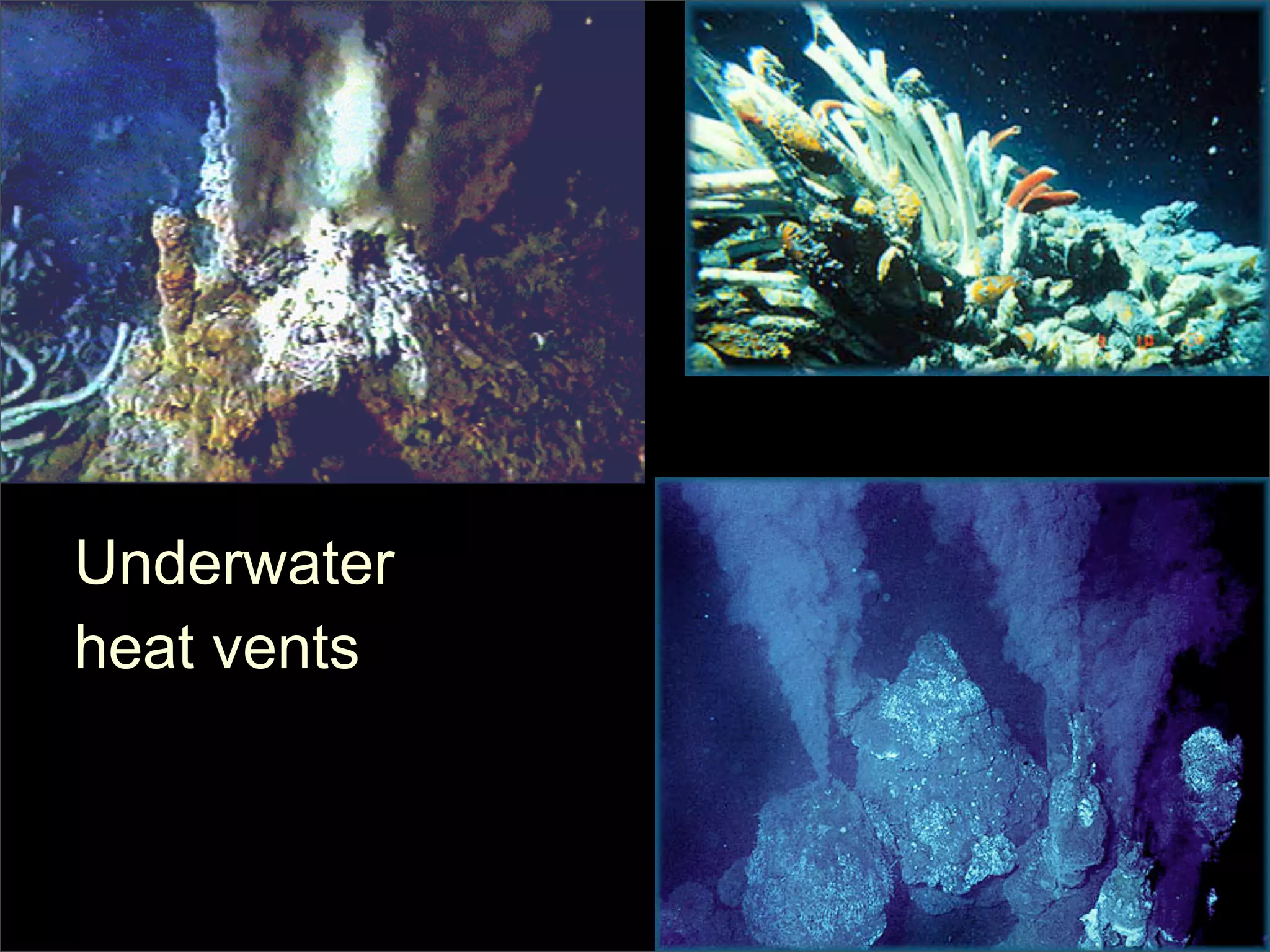 Underwater
heat vents
 
