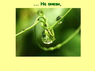 ...  На онези, който ви карат да се усмихвате, когато наистина имате нужда от някого... 