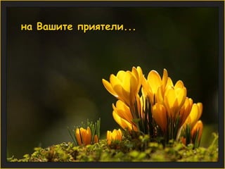 на Вашите приятели... 