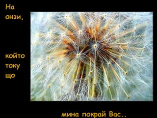 На онзи, който току що мина покрай Вас.. 