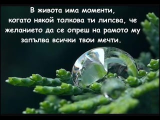 В живота има моменти, когато някой толкова ти липсва,   че желанието да се опреш на рамото му запълва всички твои мечти.  