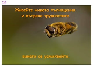 Живейте живота пълноценно и въпреки трудностите винаги се усмихвайте. 
