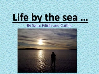 Life by the sea …
By Sara, Eilidh and Caitlin.
 