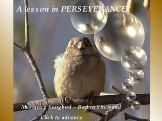 A lesson in PERSEVERANCE Musique : Songbird – Barbra Streisand  Click to advance 