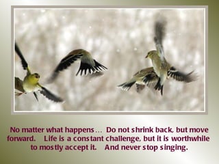 No matter what happens…  Do not shrink back, but move forward.  Life is a constant challenge, but it is worthwhile  to mostly accept it.  And never stop singing. 