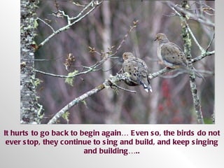 It hurts to go back to begin again… Even so, the birds do not ever stop, they continue to sing and build, and keep singing and building….. 