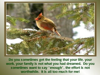 Do you sometimes get the feeling that your life, your work, your family is not what you had dreamed.  Do you sometimes want to say “enough”, the effort is not worthwhile.  It is all too much for me! 