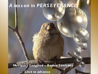 A les s on in PERS EV ERA NCE




 Mus ique : S ong bird – Barbra S treis and
         Click to advance
 