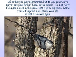 Life strikes you down sometimes, but do you go on, say a
 prayer, put your faith in hope, not darkness? Do not worry
if you get injured in the battle, that is to be expected. Gather
              yourself together and rebuild your life,
                     so that it runs well again.
 