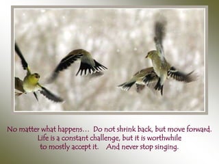 No matter what happens… Do not shrink back, but move forward.
        Life is a constant challenge, but it is worthwhile
         to mostly accept it. And never stop singing.
 