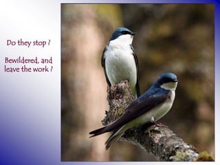 Do they stop ?

Bewildered, and
leave the work ?
 