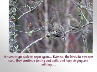 It hurts to go back to begin again… Even so, the birds do not ever
    stop, they continue to sing and build, and keep singing and
                            building…..
 