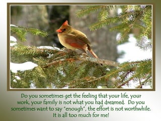 Do you sometimes get the feeling that your life, your
  work, your family is not what you had dreamed. Do you
sometimes want to say “enough”, the effort is not worthwhile.
                 It is all too much for me!
 