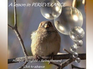 A lesson in PERSEVERANCE




 Musique : Songbird – Barbra Streisand
         Click to advance
 