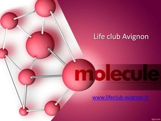 Life club Avignon
www.lifeclub-avignon.fr
 