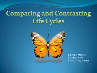 Comparing and Contrasting Life Cycles Jill Pope, Melissa LaForce,  Barb Bartel, Stacy Ziemer 