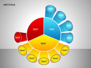 LIFE CYCLE
TEXT
TEXT
TEXT
TEXT
TEXT
TEXT
TEXT
TEXT
TEXT
TEXT
TEXT TEXT
TEXT
 