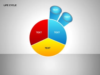 LIFE CYCLE
TEXT
TEXT
TEXT TEXT
TEXT
 