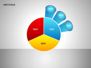 LIFE CYCLE
TEXT
TEXT
TEXT
TEXT TEXT
TEXT
 