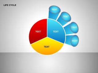 LIFE CYCLE
TEXT
TEXT
TEXT
TEXT
TEXT TEXT
TEXT
 