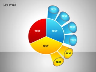 LIFE CYCLE
TEXT
TEXT
TEXT
TEXT
TEXT
TEXT
TEXT TEXT
TEXT
 