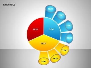 LIFE CYCLE
TEXT
TEXT
TEXT
TEXT
TEXT
TEXT
TEXT
TEXT TEXT
TEXT
 