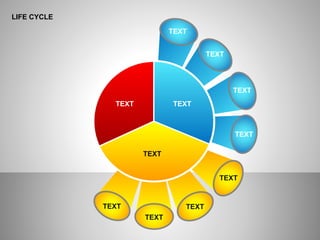 LIFE CYCLE
TEXT
TEXT
TEXT
TEXT
TEXT
TEXT
TEXT
TEXT
TEXT TEXT
TEXT
 