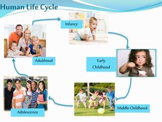 Human LifeCycle
Infancy
Early
Childhood
Middle Childhood
Adolescence
Adulthood
 