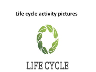 Life cycle activity pictures
 