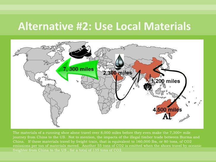 Life Cycle Analysis of a Running Shoe