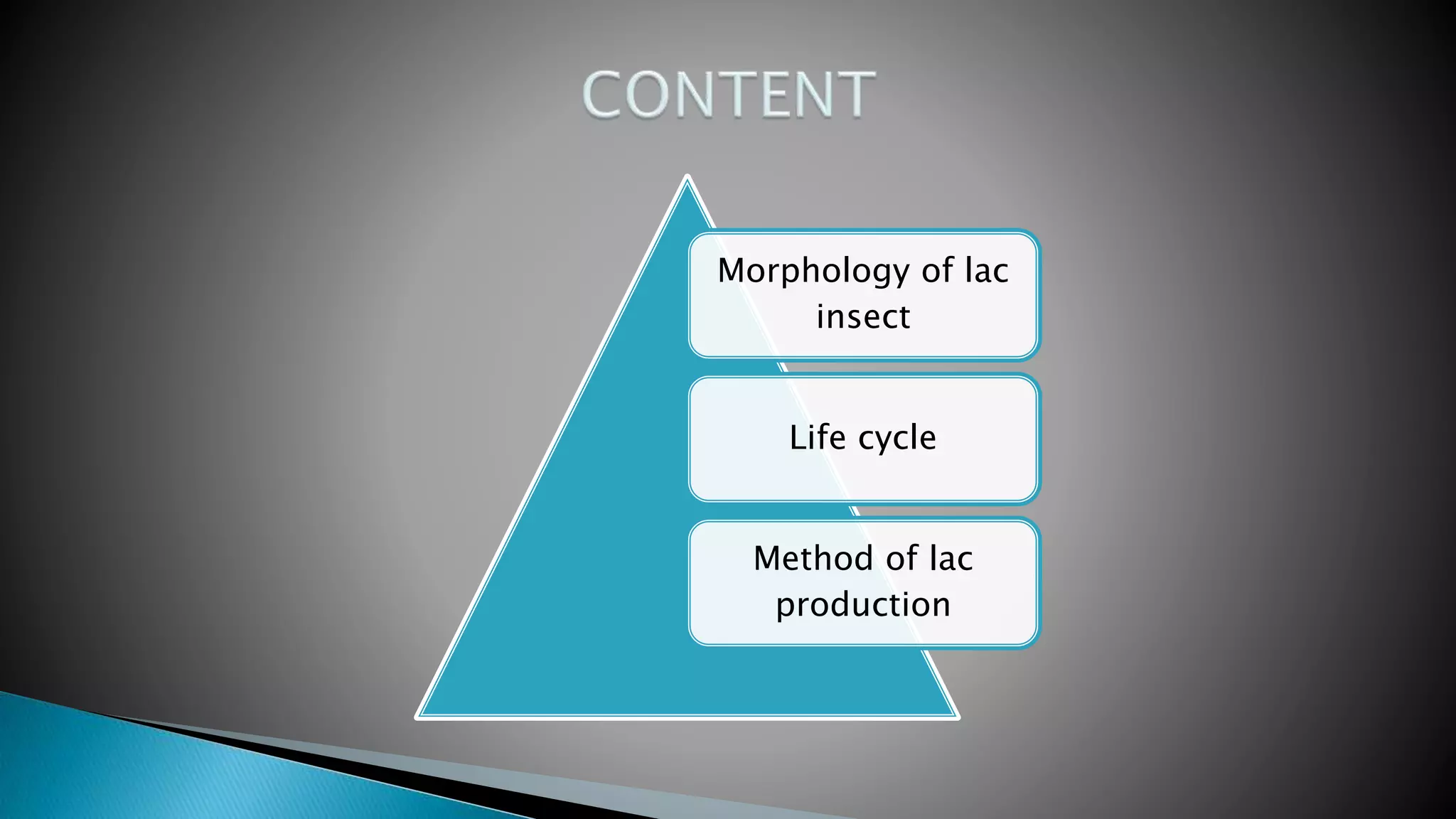 life cycle and biology of lack insect. ppt.pptx