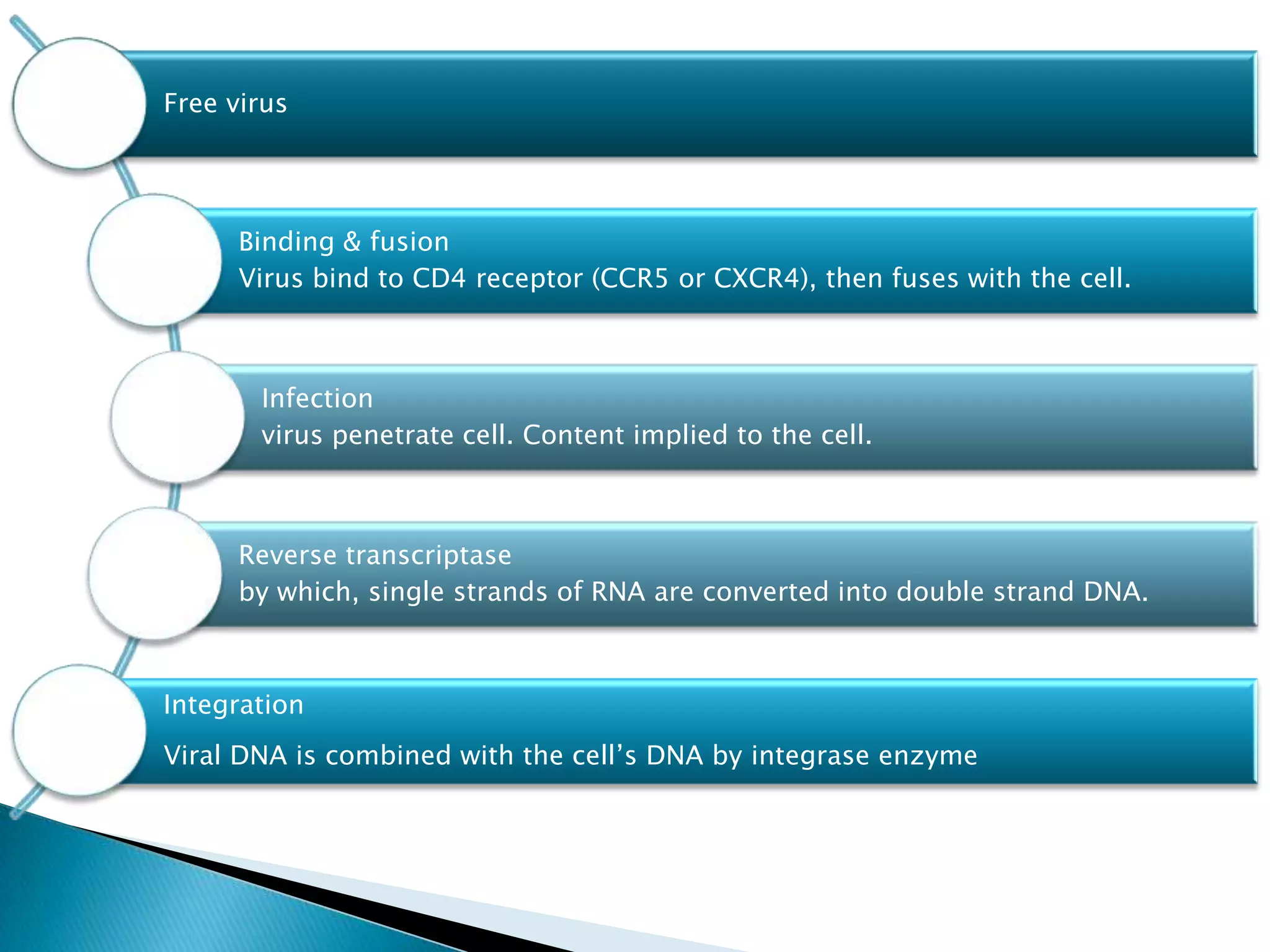 Life cycle and pathogenesis hiv | PPTX