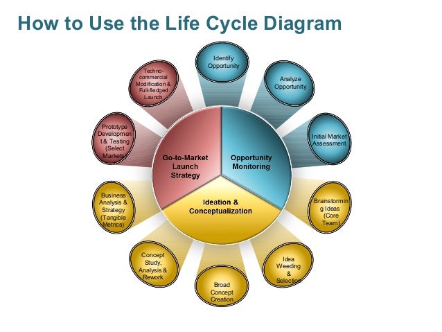 Life Cycle Diagram Visual Diagram Images