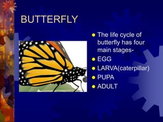 life cycle egg laying animals (1).ppt