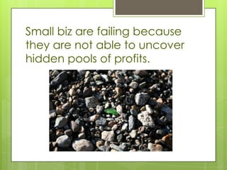 Small biz are failing because
they are not able to uncover
hidden pools of profits.
 