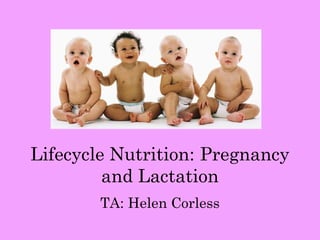 Lifecycle Nutrition: Pregnancy
         and Lactation
        TA: Helen Corless
 